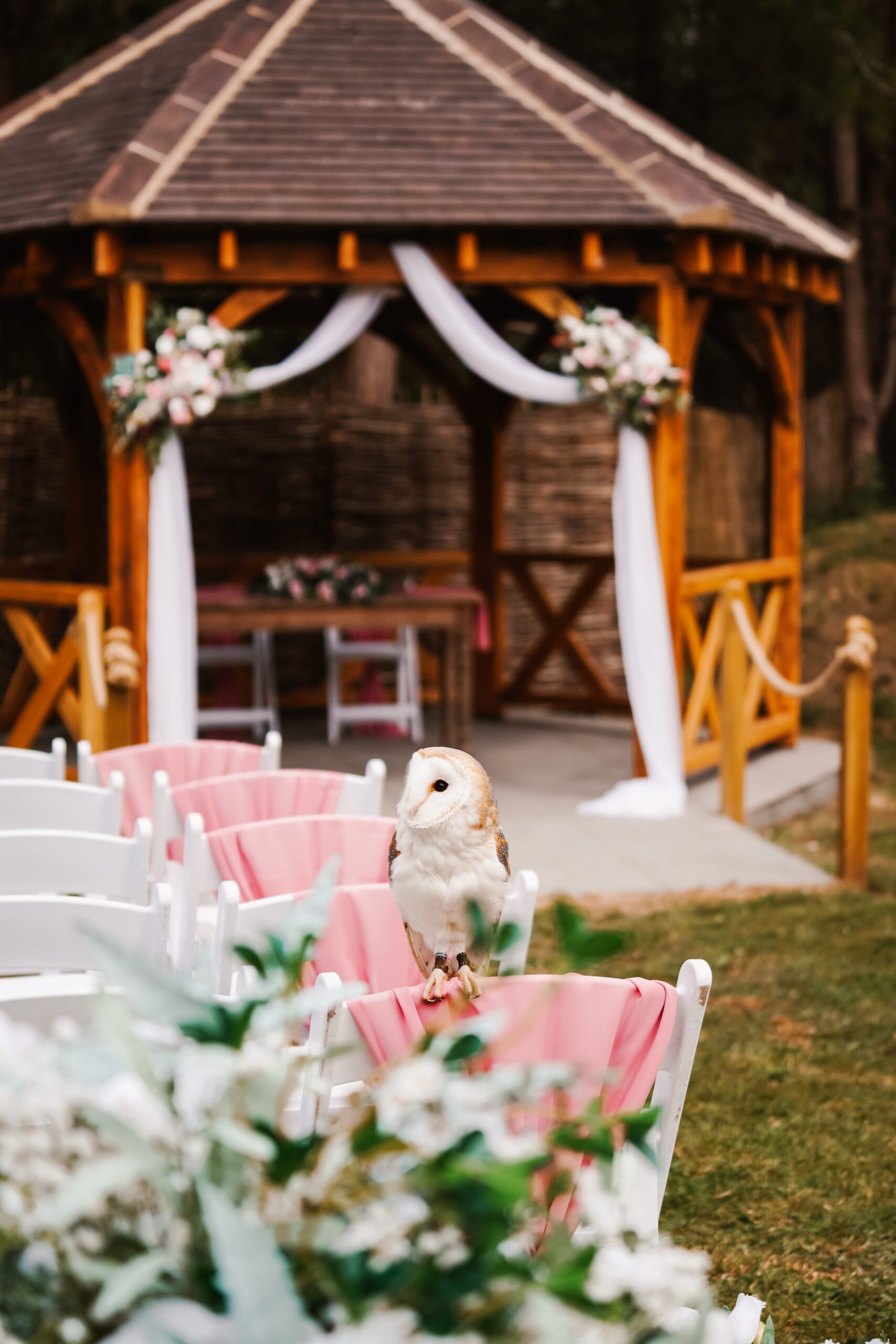 Portrait Gazebo Glade 2025